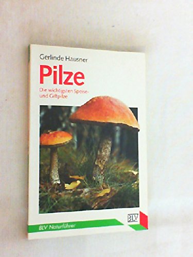 Stock image for Pilze. Die wichtigsten Speise- und Giftpilze for sale by medimops
