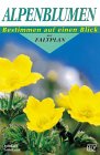 Stock image for Alpenblumen for sale by medimops