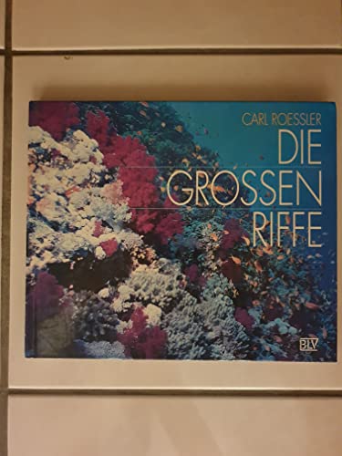 Imagen de archivo de Die groen Riffe a la venta por Versandantiquariat Felix Mcke