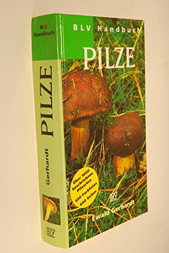 Beispielbild fr BLV Handbuch Pilze zum Verkauf von medimops