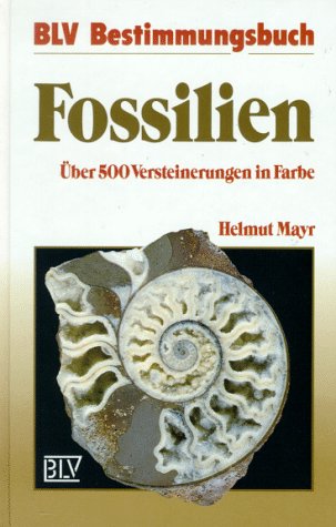 9783405148157: Fossilien