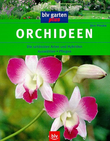 9783405148287: Orchideen