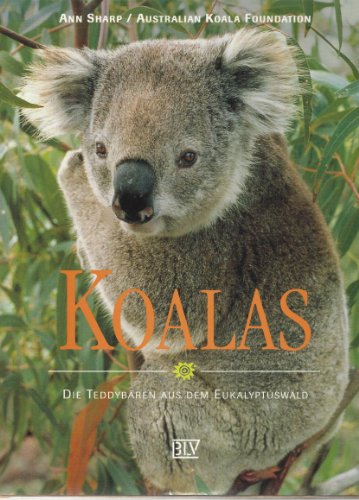 Beispielbild fr Koalas. Die Teddybren aus dem Eukalyptuswald zum Verkauf von medimops