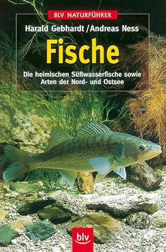 Beispielbild für Fische: Die heimischen Süßwasserfische sowie Arten der Nord- und Ostsee, BLV Naturführer zum Verkauf von Buchstube Tiffany