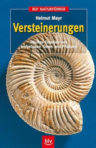 Stock image for Versteinerungen. for sale by WorldofBooks