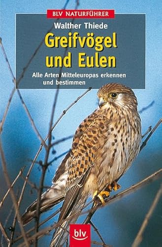 Greifvögel und Eulen Alle Arten Mitteleuropas erkennen und bestimmen