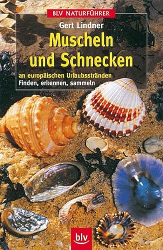 Stock image for Muscheln und Schnecken for sale by medimops