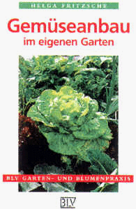 Stock image for BLV Taschenbcher, Gemseanbau im eigenen Garten for sale by medimops