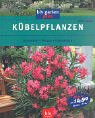 Stock image for Kübelpflanzen for sale by ThriftBooks-Dallas