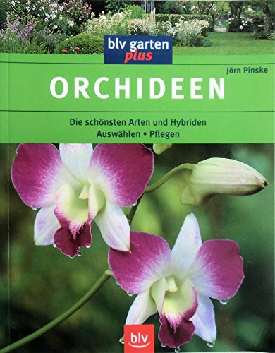 Beispielbild fr Orchideen zum Verkauf von Ammareal