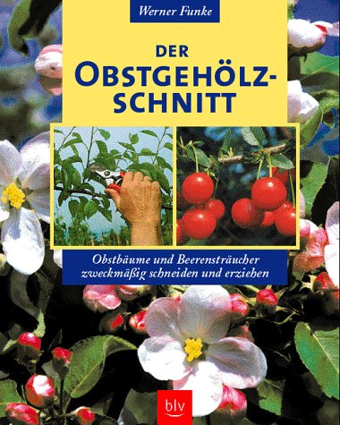 9783405158071: Der Obstgehlzschnitt