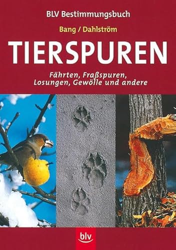 Stock image for Tierspuren: Fhrten, Fraspuren, Losungen, Gewlle und andere for sale by medimops