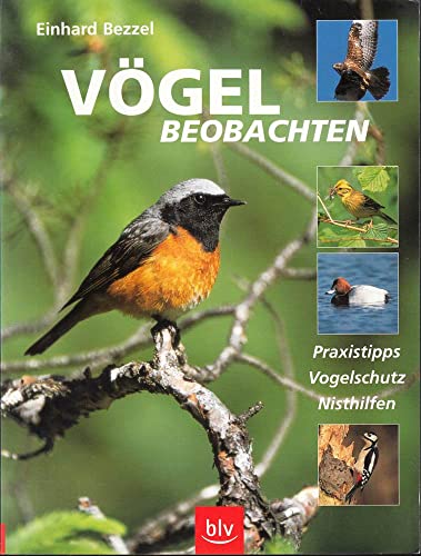 Beispielbild fr Vgel beobachten. Praxistipps, Vogelschutz, Nisthilfen zum Verkauf von medimops