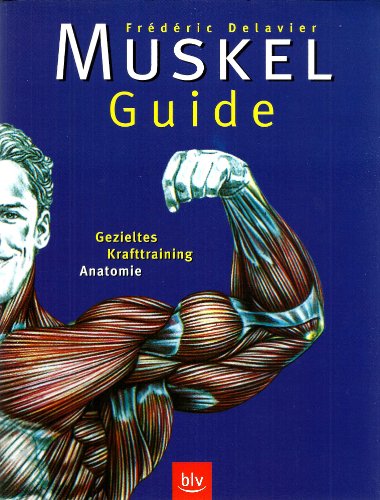 Muskel-Guide - Delavier, Frederic