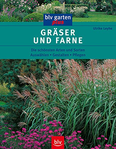 Stock image for Grser und Farne: Die schnsten Arten und Sorten. Auswhlen. Gestalten. Pflegen for sale by medimops