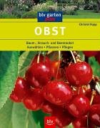 Obst: Baum-, Strauch- und Beerenobst. Auswählen - Pflanzen - Pflegen - Rupp, Christel