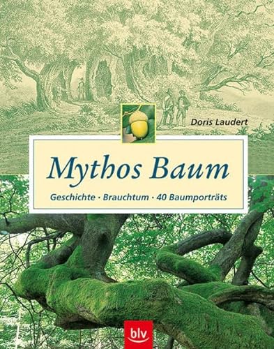 Mythos Baum: Geschichte - Brauchtum -40 Baumporträts. - Laudert, Doris