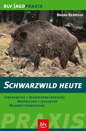 Beispielbild fr Schwarzwild heute: Lebensweise, Schadensbegrenzung, Ansprechen, Jagdarten, Wildbretverwertung zum Verkauf von medimops