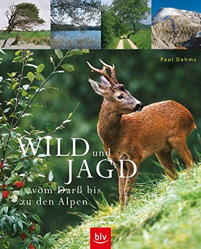 Stock image for Wild und Jagd vom Dar bis zu den Alpen for sale by Buchkontor Zossen