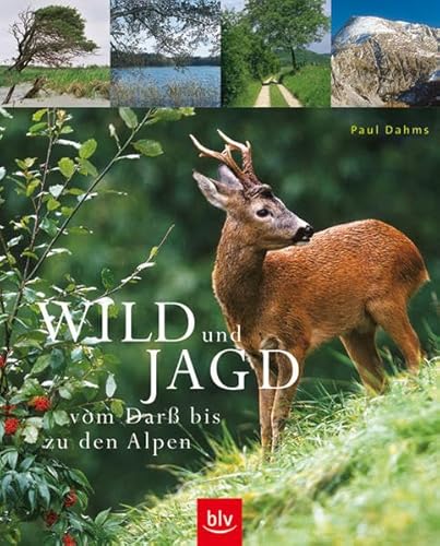 Wild und Jagd: Vom Darss bis zu den Alpen.