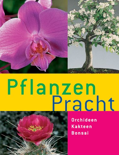 Stock image for Pflanzen Pracht for sale by medimops