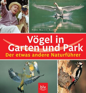 Stock image for Vgel in Garten und Park for sale by BookHolders