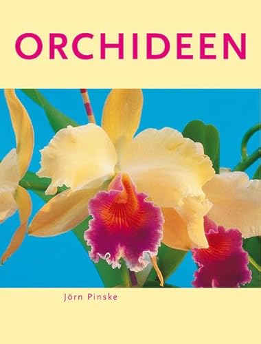 Imagen de archivo de Orchideen a la venta por Versandantiquariat Jena