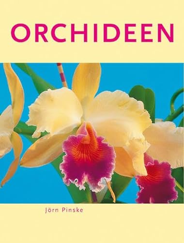Stock image for Orchideen. Jrn Pinske for sale by Antiquariat Buchhandel Daniel Viertel
