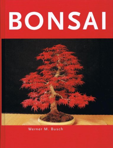 9783405170189: Bonsai, Sonderausgabe