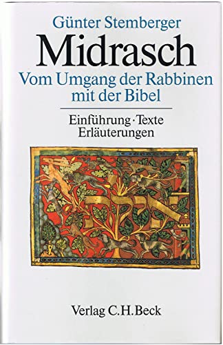 Stock image for Midrasch: Vom Umgang der Rabbinen mit der Bibel : Einfu?hrung, Texte, Erla?uterungen (German Edition) for sale by RIVERLEE BOOKS