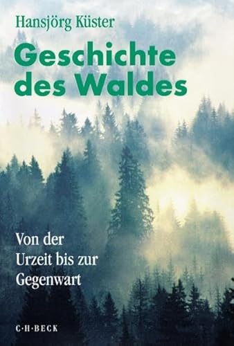 Geschichte des Waldes: Von der Urzeit bis zur Gegenwart - Küster, Hansjörg
