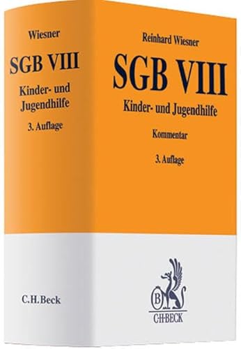 Stock image for SGB VIII Kinder- und Jugendhilfe for sale by Buchpark