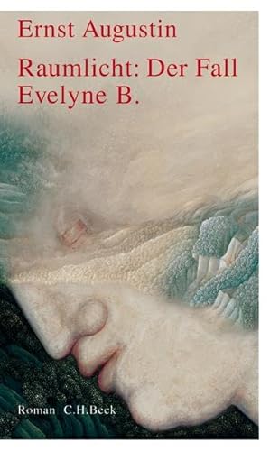 9783406521812: Raumlicht: Der Fall Evelyne B.