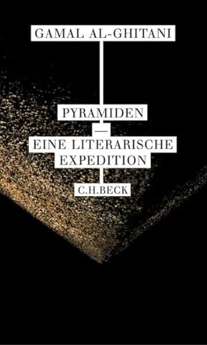 Stock image for Pyramiden. Eine literarische Expedition for sale by medimops