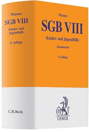 Stock image for SGB VIII Kinder- und Jugendhilfe for sale by Buchpark