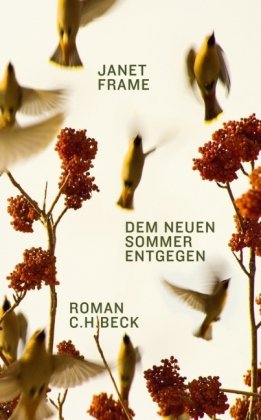 Dem neuen Sommer entgegen: Roman - Frame, Janet