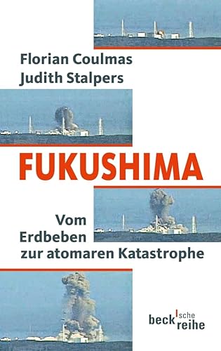 Beispielbild fr Fukushima: Vom Erdbeben zur atomaren Katastrophe zum Verkauf von medimops