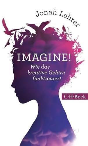 Stock image for Imagine!: Wie das kreative Gehirn funktioniert for sale by medimops