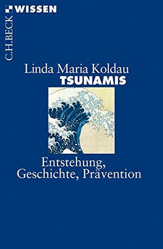 Beispielbild fr Tsunamis: Entstehung, Geschichte, Prvention zum Verkauf von medimops