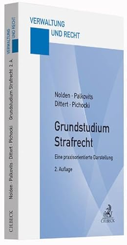 Beispielbild fr Grundstudium Strafrecht Eine praxisorientierte Darstellung zum Verkauf von Buchpark