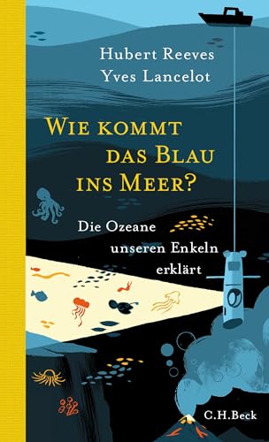 Beispielbild fr Wie kommt das Blau ins Meer?: Die Ozeane unseren Enkeln erklrt zum Verkauf von medimops