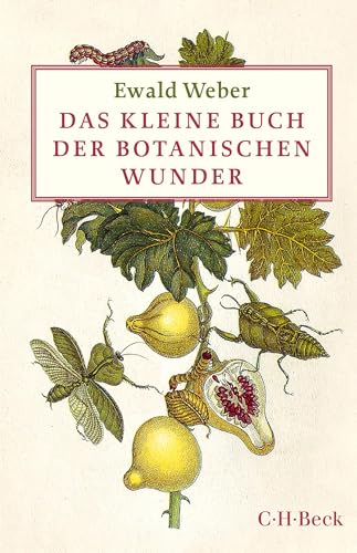 9783406696183: Das kleine Buch der botanischen Wunder: 6033