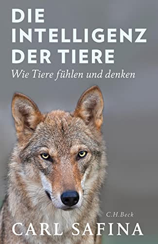 Beispielbild fr Die Intelligenz der Tiere zum Verkauf von Blackwell's