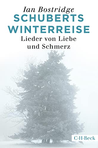 Imagen de archivo de Schuberts Winterreise: Lieder von Liebe und Schmerz a la venta por medimops