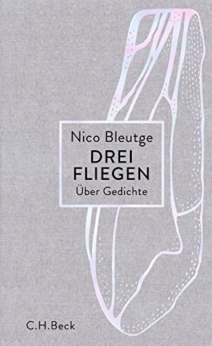 Imagen de archivo de Drei Fliegen: ber Gedichte a la venta por medimops