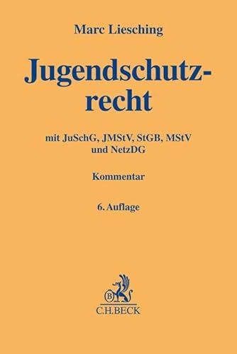 Stock image for Jugendschutzrecht for sale by Blackwell's