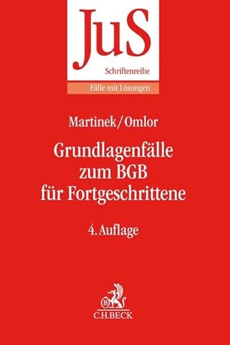 Stock image for Grundlagenflle zum BGB fr Fortgeschrittene -Language: german for sale by GreatBookPrices