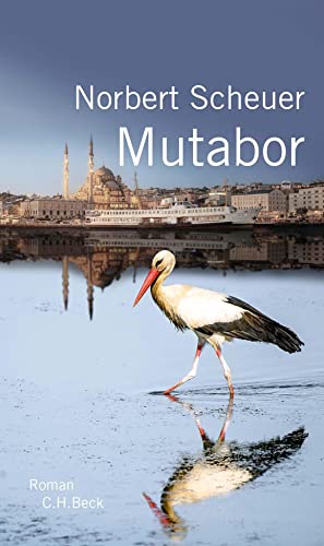 Beispielbild fr Mutabor: Roman zum Verkauf von medimops