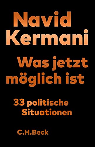 Was jetzt möglich ist: 33 politische Situationen - Navid Kermani