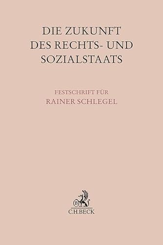 Stock image for Die Zukunft des Rechts- und Sozialstaats for sale by GreatBookPricesUK